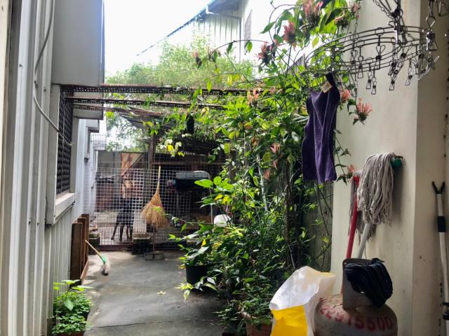 台中大雅透天-3