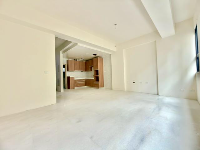 台中沙鹿別墅-5