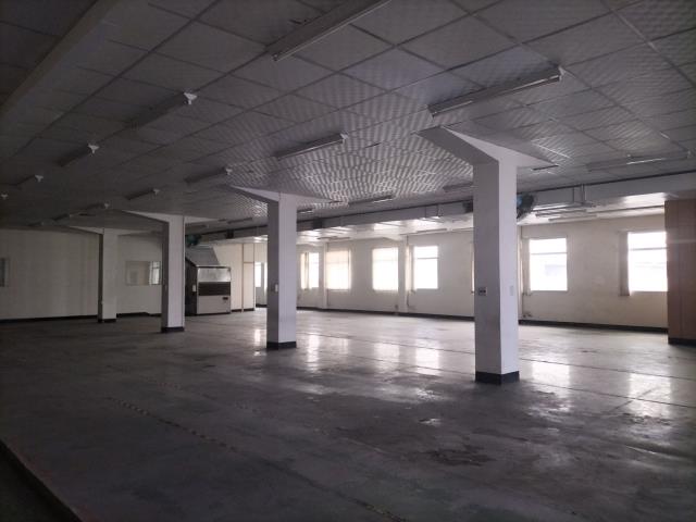 台中大雅廠房-1