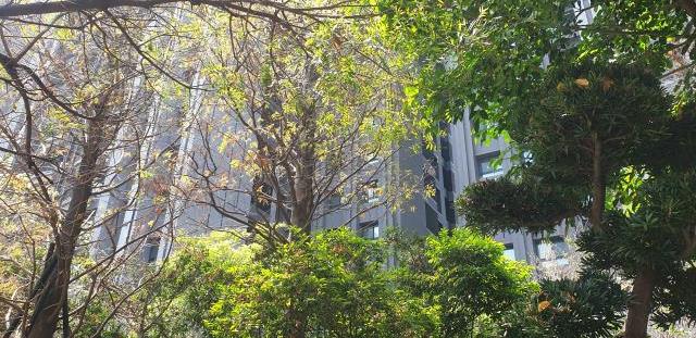 台中南區大樓-2