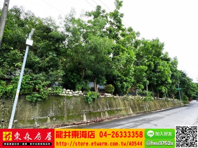 台中豐原農地-0