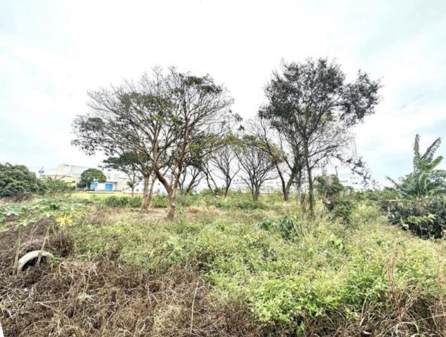 台中大雅農地-1