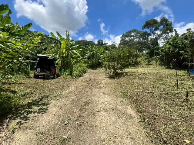 台中霧峰農地-7