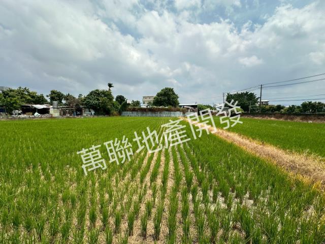 潭子農地-9
