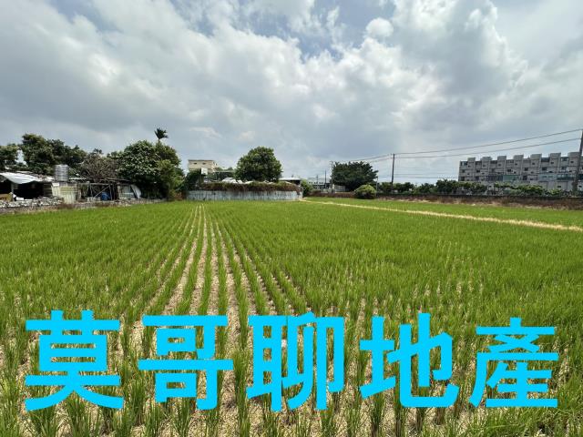 潭子農地-0