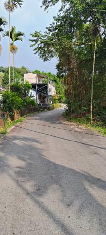 台中東勢農地-2