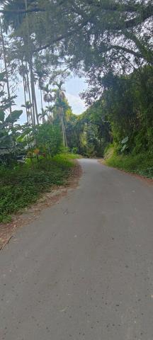 台中東勢農地-4