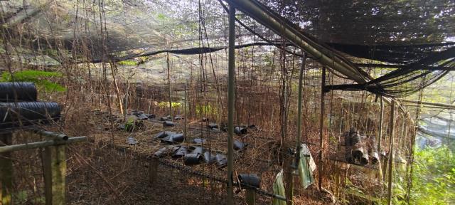 台中東勢農地-7