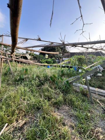 台中東勢農地-2