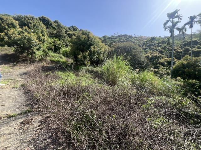 台中太平農地-0