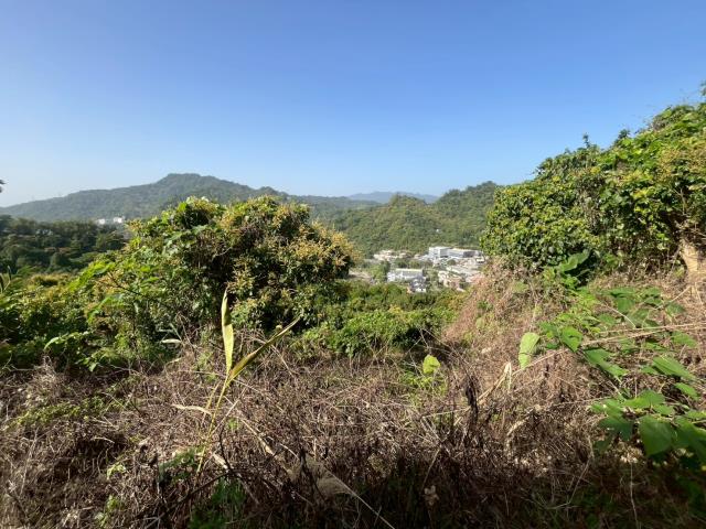 台中太平農地-5