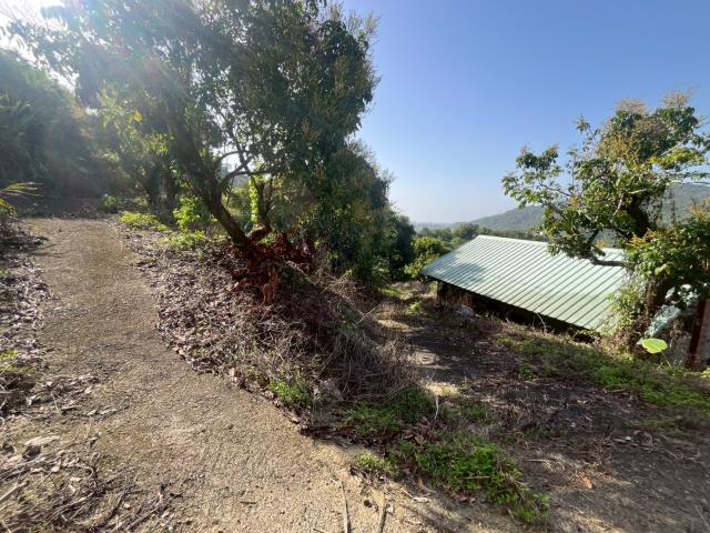 台中太平農地-6