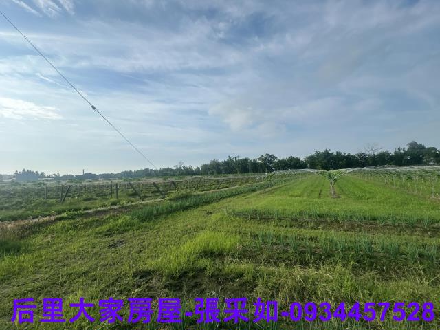台中后里農地-0