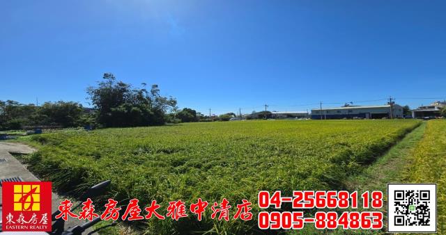 台中神岡農地-5