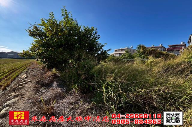 台中神岡農地-5