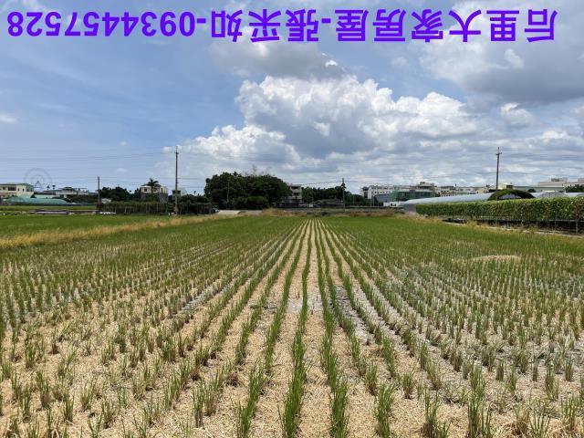台中農地-5