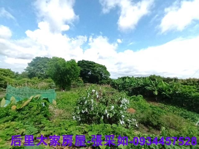 所種植的農作物