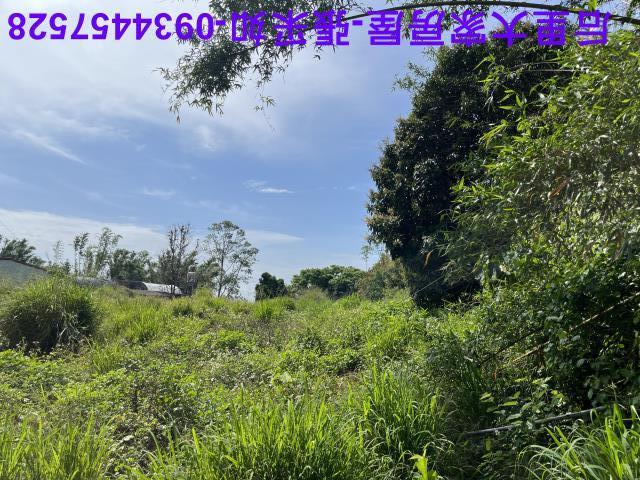 台中后里農地-0
