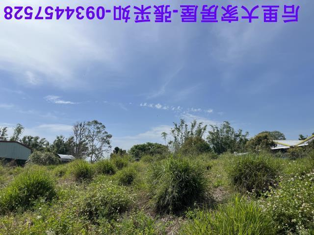 台中后里農地-1