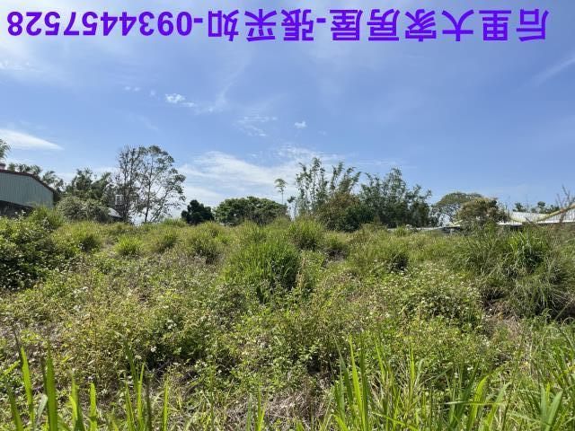 台中后里農地-8