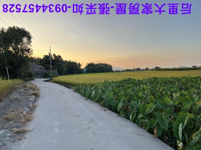 台中農地-2
