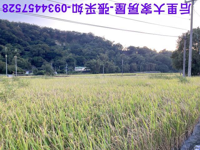 台中農地-4