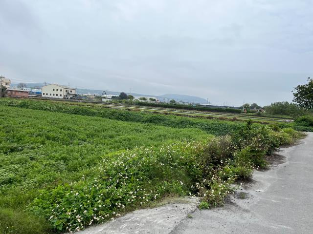 台中農地-3