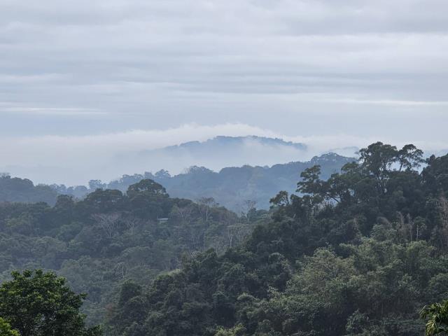 台中太平農地-7