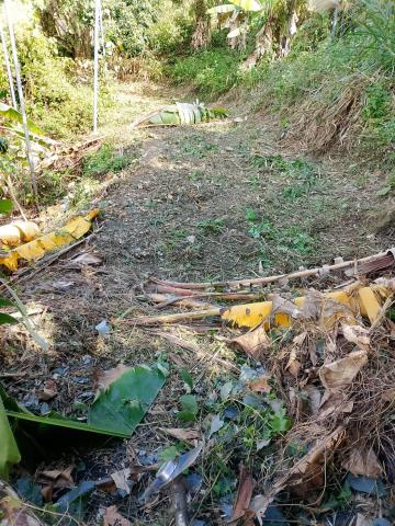 台中太平農地-9