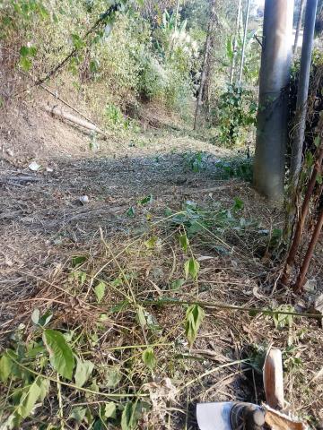 台中太平農地-12