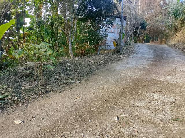 台中太平農地-4