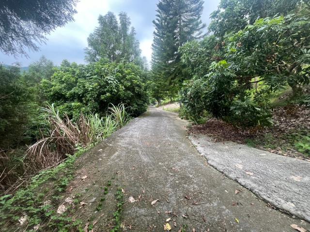 台中霧峰農地-11