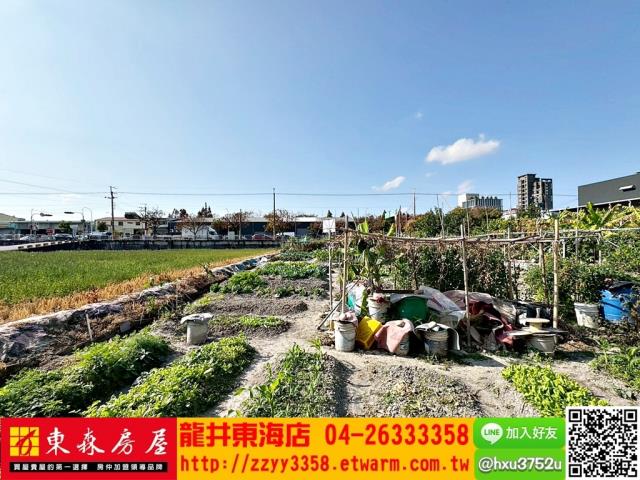 台中西屯農地-0