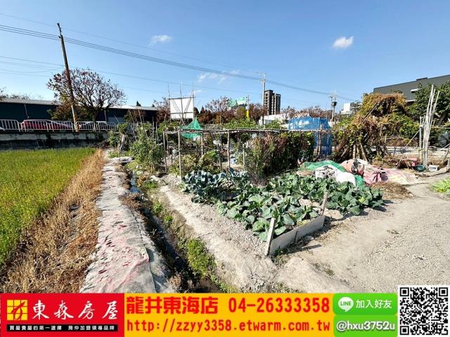 台中西屯農地-2