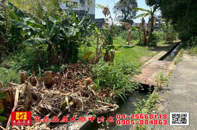 台中大雅農地-0