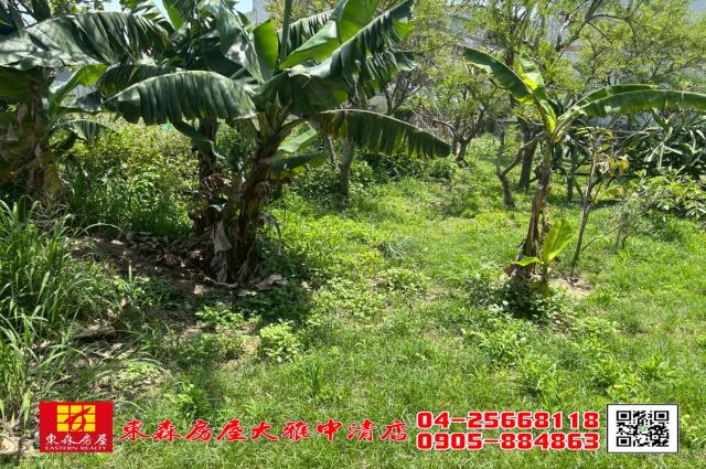 台中大雅農地-3