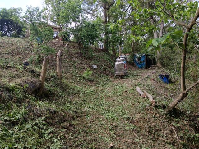 台中太平農地-13