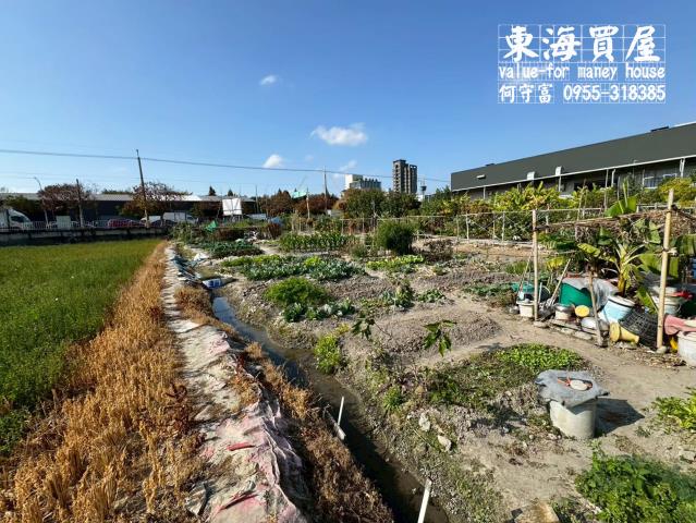 台中西屯農地-1