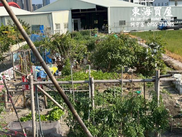 台中西屯農地-5