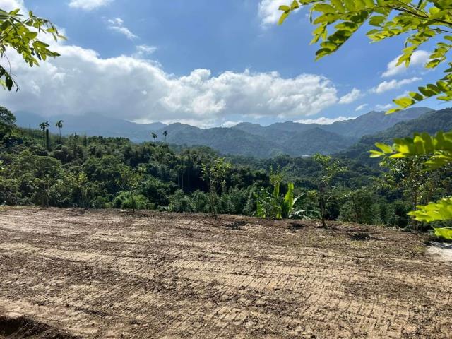 台中東勢農地-0