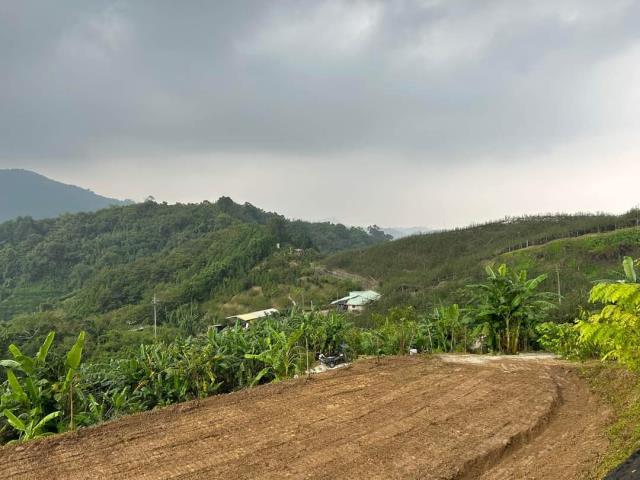 台中東勢農地-1