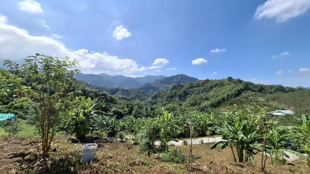 台中東勢農地-5