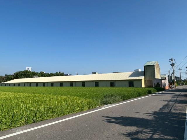大雅農地-1