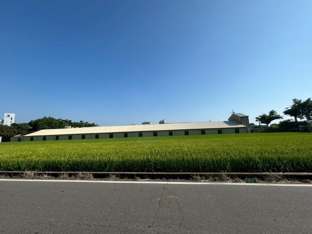 大雅農地-5